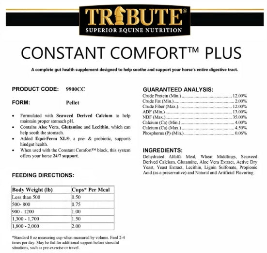 TF Constant Comfort Bag