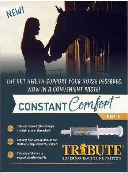 TF Constant Comfort Paste