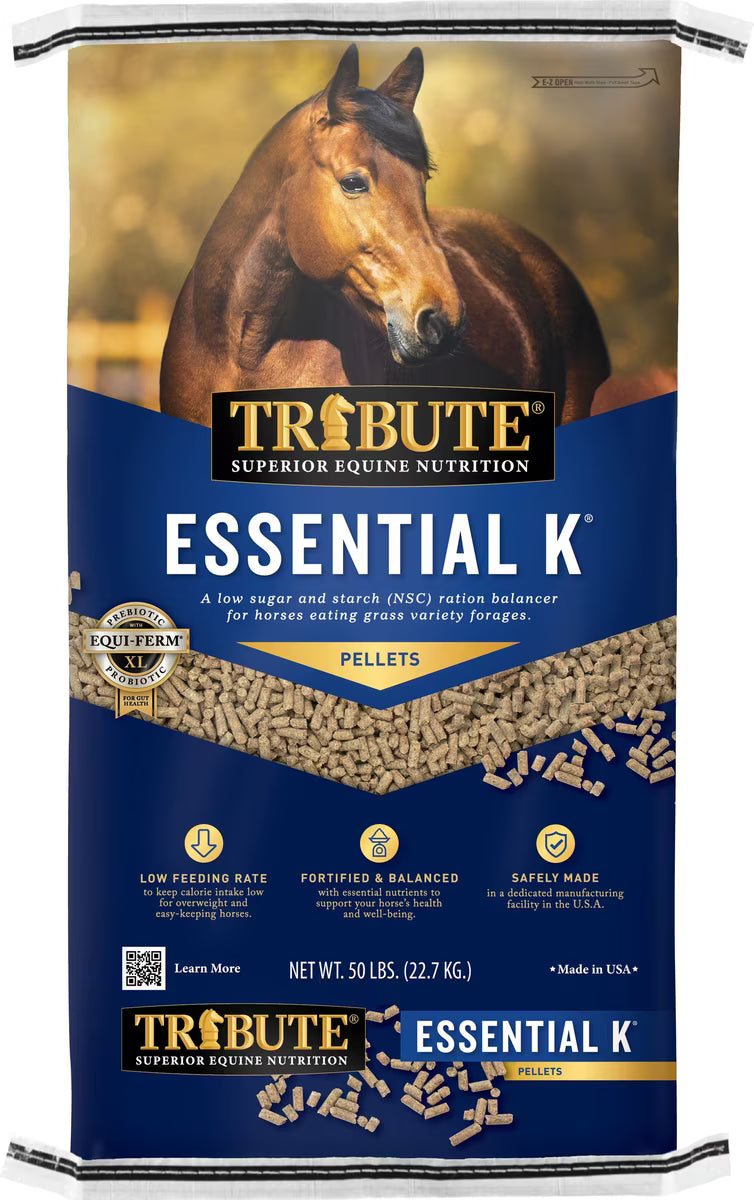 TF Essential K