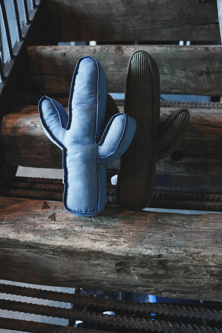Kick a Cactus Pillow