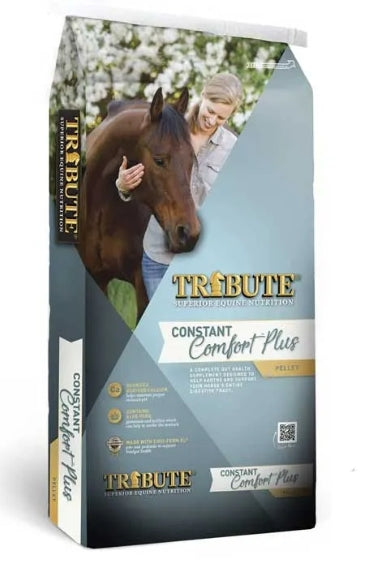TF Constant Comfort Bag