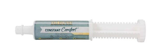 TF Constant Comfort Paste