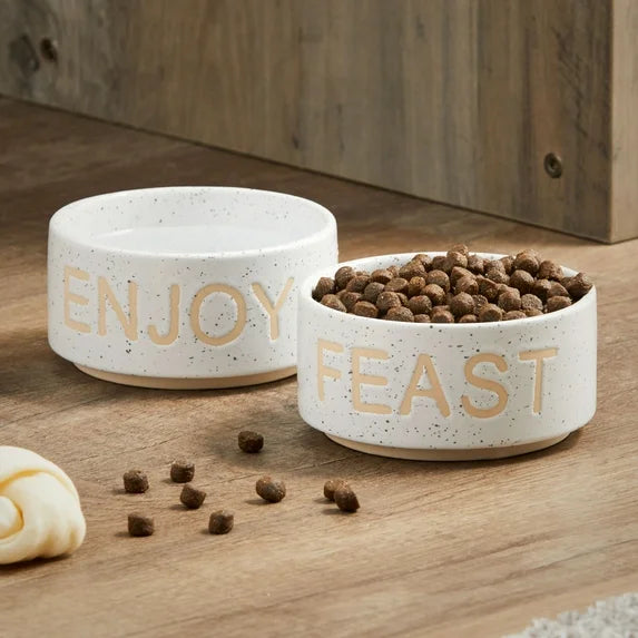 Vibrant Life Ceramic Feast & Enjoy Pet Bowl Set