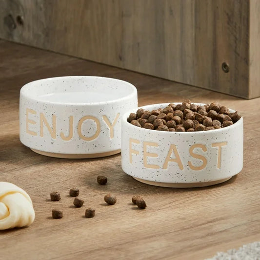 Vibrant Life Ceramic Feast & Enjoy Pet Bowl Set