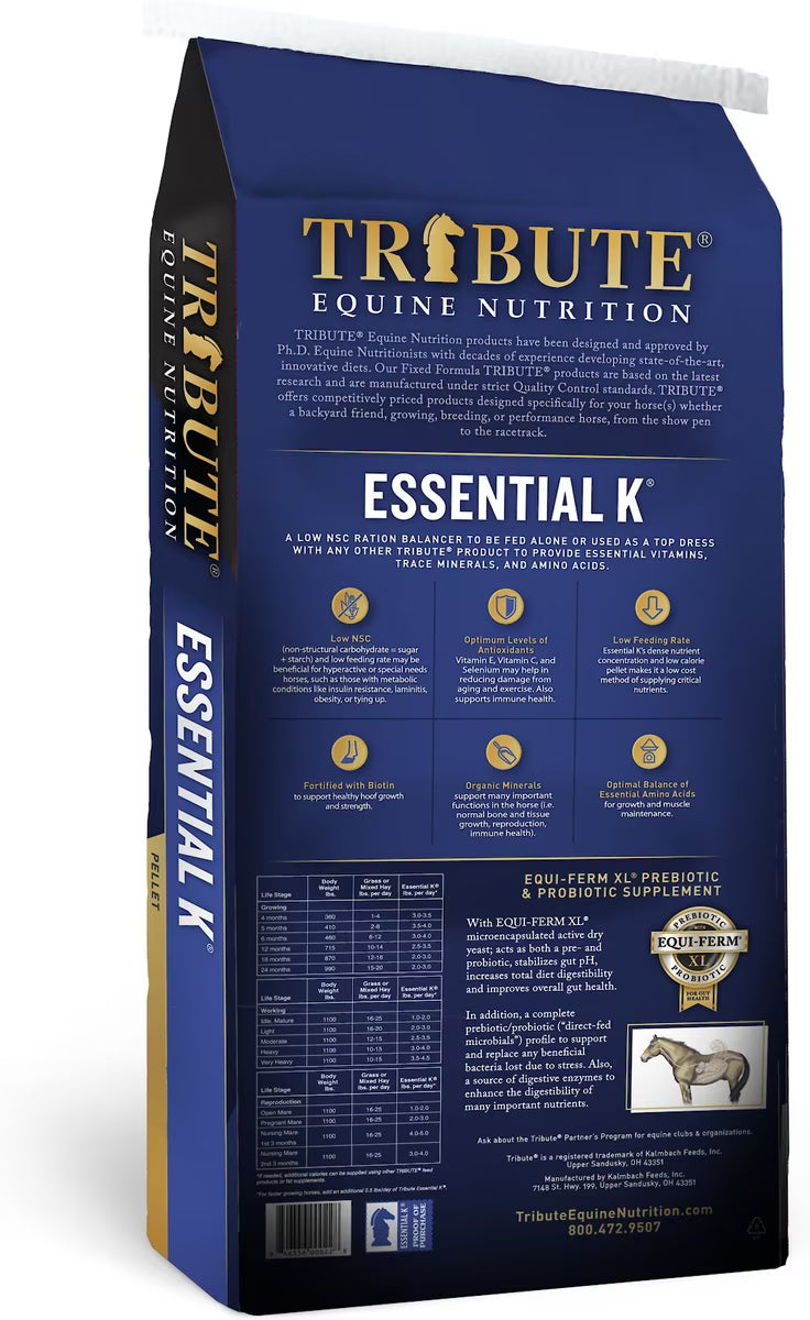 TF Essential K