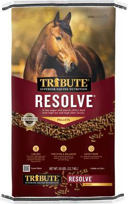 TF Resolve
